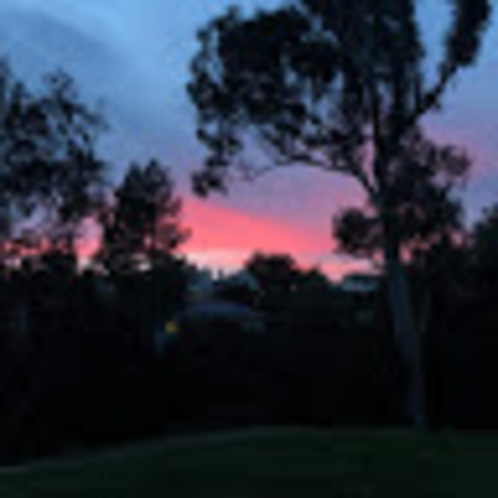 Meet your Posher, Miranda